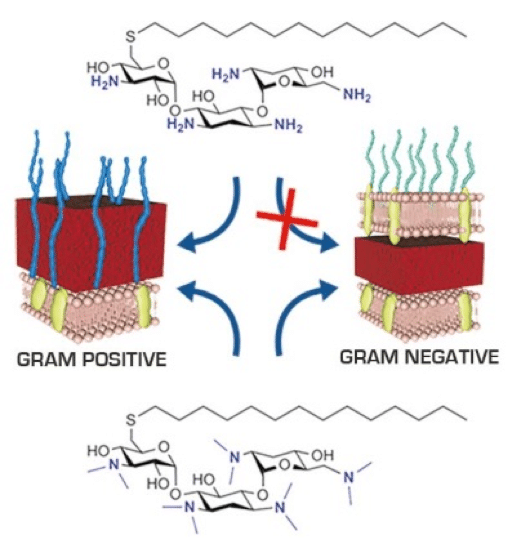 graphical abstract